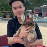 Tay Ying