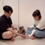 Tay Ying