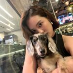 Tay Ying