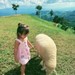 Taya Rogers Instagram – This sweet little life of ours💕🌱🐑