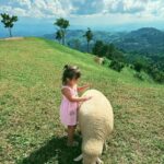Taya Rogers Instagram – This sweet little life of ours💕🌱🐑