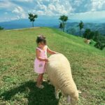 Taya Rogers Instagram – This sweet little life of ours💕🌱🐑