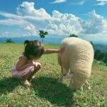 Taya Rogers Instagram – This sweet little life of ours💕🌱🐑