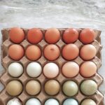 Taya Rogers Instagram - I hope you love your life so much that you feel lucky to just be you- like it’s a privilege to wake up as yourself. I hope you are utterly charmed by your own life. What a beautiful home you’ve built. What incredible friends you get to text all day. How you spend your time and your life- just brilliant. What fun! What a strong mind you have. What a way you care for yourself and listen to your needs. What great kids or dogs or cats or plants you’ve raised. Wow, you’ve really got this whole life thing figured out. Or, if not, look at you, trying to figure it out and fight for your joy. How lucky you are that you get to be you 🫶🏽 🌅☕️🏝️🐾 Feeling so blessed & grateful for the little things. Even on our harder days- because as a family that’s unavoidable- I look at the little hands reaching out for mine or the beautiful food on our table and the smiles around me and I know I’ve got more than I ever dared to hope for 🙏🏽🤍 (*I read the original, slightly different, version of this on Pinterest, but it wasn’t credited so if this was you or you know who said it please let me know!)