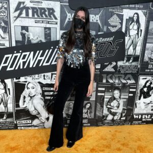 Taylor Lorenz Instagram - Thank you to Pornhub for having me at this year’s PornHub awards! ✨