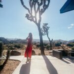 Taylor Dooley Instagram – Desert photo dump 🌵 Take me back ☀️