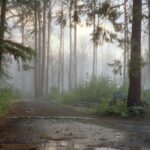 Taylor Hickson Instagram - 26! when i say this last year blew by! 🌬️ thank you to everyone who brought me laughter, quiet moments, spontaneity, love, a listen, space, art- this past year. it was hard. it was a lot of work. it was incredibly rewarding. i am welcoming this next stretch with expansive gratitude & a big embrace. i am so lucky. ♥️ i love this great big life! 🌞