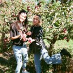 Taylor Hickson Instagram - since 2021 was a silly goofy mood 🤪 here’s some pretty places on film