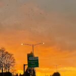 Taylor Hickson Instagram - moments that gave me golden aura