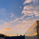 Taylor Hickson Instagram - moments that gave me golden aura
