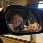 Taylor Hickson Instagram - flurry of friends & places
