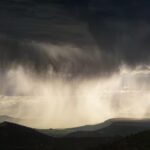 Taylor Rees Instagram - rain rain, please wash away the idiots in my government unwilling to create the climate policies that Earth needs to continue sustaining her incredible diversity of life. wash them away into the gutter. thanks, me.