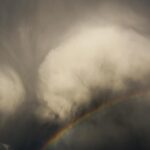 Taylor Rees Instagram - cloud manatees 7.22.22