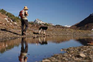 Taylor Rees Instagram - Baloo whispered to me just now how he couldn’t be more grateful that @renan_ozturk takes him on all the dirt wanders and is the best nap companion ever. I couldn’t agree more. Happy birthday. We love you so much.