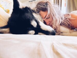 Taylor Rees Instagram - Baloo, did you have any good dreams?

“Yea. I dreamt all the humans took a vacation from Earth for a while so all us animals and bugs and trees could have a little space to chill.”

😳😜
@renan_ozturk @baloointhewild