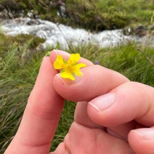 Taylor Rees Instagram - This last Fall I was invited by @jackwolfskin to test their Discover Wilderness line in the highlands of Scotland. And no better person to explore those landscapes, as well as matters of energy, ecology and the future, than with my Dad! We visited one of Scotland’s largest dams with local guide Anna (@wildrootsguiding) and adventured up Glen Nevis with photographer filmmaker and dear friend @simonbrannthorpe and his crew @neilcaincamera @swart77. Check out more at @jackwolfskin!