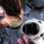Taylor Rees Instagram - @aidanle and I don’t make plans. We show up in each others lives usually on a last minute whim, after a 7 hour drive through the night, sometimes with tears in our eyes, always there for each other as family. She came to Colorado last week so we could honor her fur baby Norman (@parkcitynorm) who passed unexpectedly. As we merged his ashes with the ashes of our burnt letters, we talked about how dogs are not individual souls but infinite-continuum spectrum souls that cycle forever through multiple puppy forms, but never leave us. Thank you Norman for your forever joy. Thank you Cowboy (new puppy, photo 1!) for carrying Norm’s spirit. Thank you cold mountain water for taking him, and for making us feel alive 🌸 @baloointhewild #sonyartisan