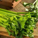 Taylour Paige Instagram – I’d like to end the night declaring my love and appreciation for celery. Now not too fast, you may say it’s plain and boring – but these guys can also really heal your gut. Your gut is essentially your brain. Our neurons from our gut are sending signals and most of us have leaky messy ones, knocking off our whole system ooouch. some of us are living so hazy and anxious we don’t need even realize what’s up or down. well guess what, Celery juice hooray! They are full of anti inflammatory and cancer fighting properties.  Celery has hydrochloric acid which restores and helps heal the gut. It’s a natural antibiotic and anti parasitic! It can alleviate irritability, depression and anxiety (which It seems most of us have!) and reduce high blood pressure and cholesterol. for people like me with PMDD or endometriosis and hormone stuff celery is your girl. there’s so much information available to us all and I am thankful for that – yet everyone is an expert and everyone is angry and it becomes so overwhelming you almost want to do nothing and lay down. well celery you can have a bit of and then lay down! Before you come for me or mention it needs to be organic (it should be- but how unfortunate because of money hungry powers that be, the distinction of organic and non organic is where most of us have to live- when really everything should be organic but I digress)  or check for pesticides, do your research and enjoy celery if you want to! I am not a doctor nor telling you what to do nor tackling every single thing that is healthy for your body mind and spirit! God bless 💚