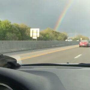 Taylour Paige Instagram - Enjoyed a few last days in Los Ángeles. Drove from Los Ángeles to Toronto in less than a week with my corazón. Took In the earth, loved on some of our people. Ate the best food. Stayed at cutie hotels and shitty ones. Saw some rainbows. Got up close to those who have confederate flags on their car and doused them in more love. (It’s crazy out here) Caught some sunsets. Let my dogs play at a dog park in Zion Utah. Peed for 24 hours in a bucket for a hormone test and mailed it out there too. Fed the doggies eggs and blueberries. Danced and vogued on a bridge in chicago after dinner. Had delicious trout and oysters and steak frites a lot. witnessed free shots in Iowa if you wear a fedora on friday. Ate bar food in Lincoln Nebraska. Lots of ooohs and aws and appreciation for beautiful cows and horses and sheep. Peed in a lot of gas stations. Celebrated normalcy when we’d arrive at a Chipotle midday. laughed so much. Thought so much. Listened to so much. Artists give so much. Perceived so much. PREPPING for a project I deeply believe in. It’s all a prayer, thank you