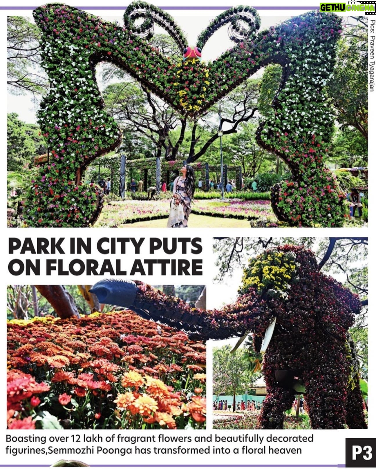 Teja Venkatesh Instagram - Petals of poise, threads of tradition – a symphony of beauty in my Alankriti saree @alankriti_silks In every fold, a story of blossoms. Alankriti's floral charm, an ode to timeless elegance. Thanks for the flawless makeup akka @shobsmakeover Beyond Grateful to grace the pages of Chennai Times Dated 19/2/2024. @praveentyagarajan #chennai #chennaitimes #tejavenkatesh #tejainsaree #saree #influencer #trending #sareelove