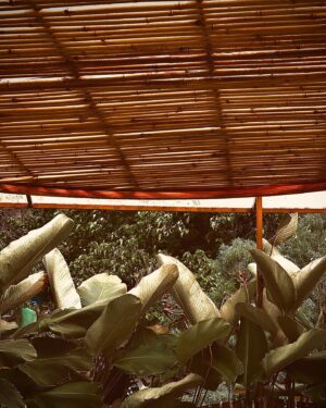Teja Venkatesh Instagram - Find solace in wanderlust
Travel.Live 🌱🌳🍁🍂

#travel #heal #loveyourbody #loveyourself #nature #tejavenkatesh #teja #goa #live