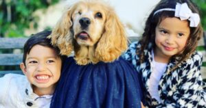 Teresa Castillo Instagram - All dogs go to heaven. 💔Last night we said goodbye to our sweet little Lady. It breaks my heart writing this, but I know she is now pain free. May you fetch a million tennis balls and catch all the squirrels. Jump up on the table and eat all the human food you can eat in doggy heaven. My good girl. The goodest girl. Almost 16 years on this earth and it still wasn’t enough. We’ll always miss you 😢