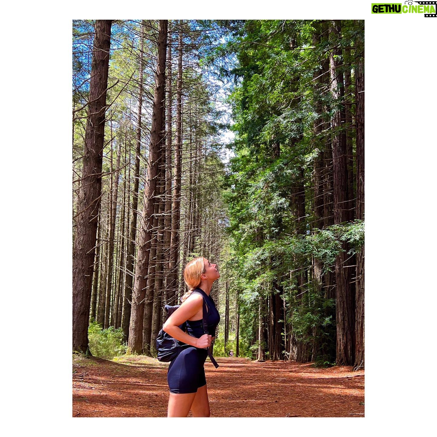 Teressa Liane - 1.7K Likes - 🌊🌴 Getting back out and into nature 👟👟☀️🙏🏻💖
So grateful for this life x 🌸🦋
#hereslookingup