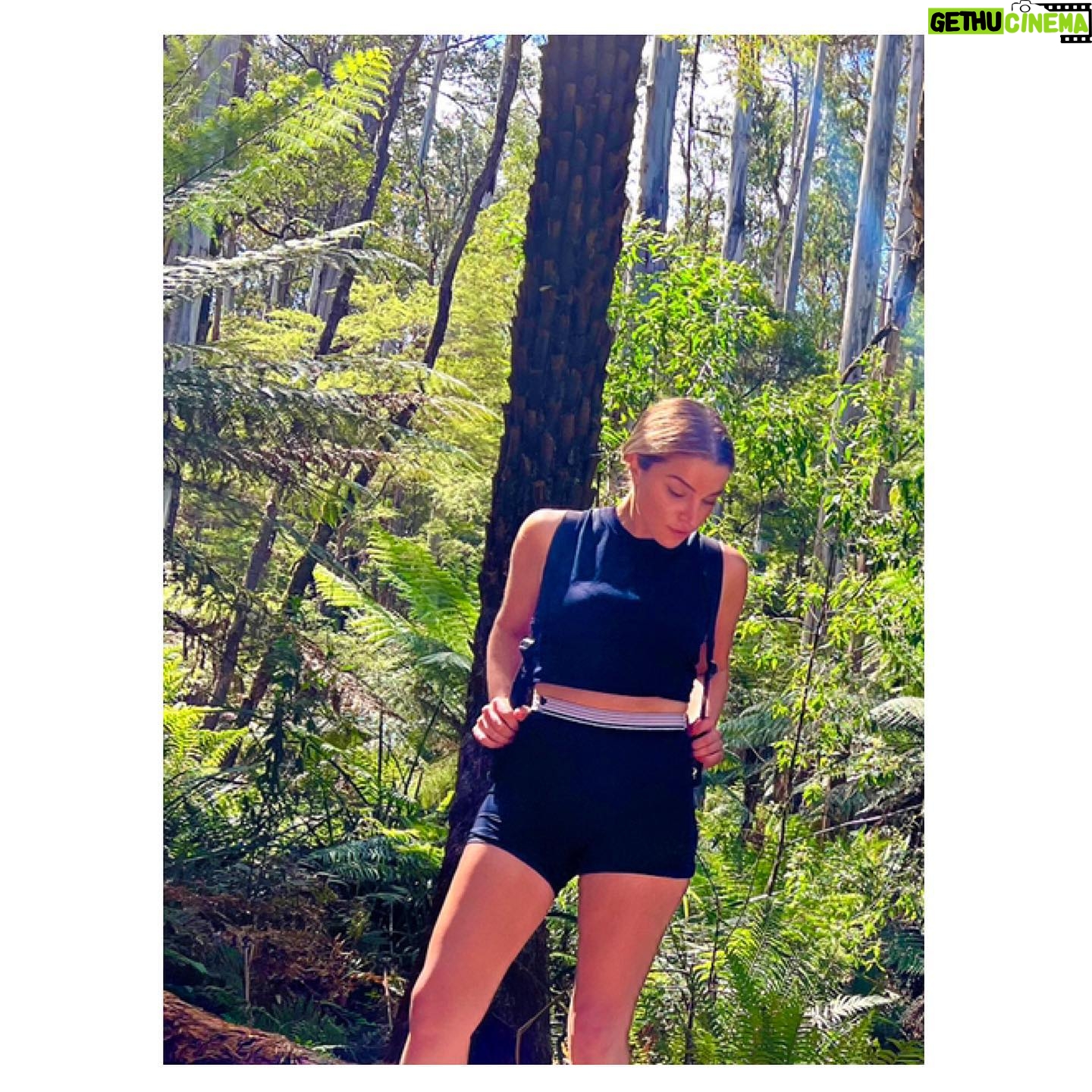 Teressa Liane - 1.6K Likes - ☀️🌴🦕🕵🏼🦖🌴x
#RedwoodForest 👀