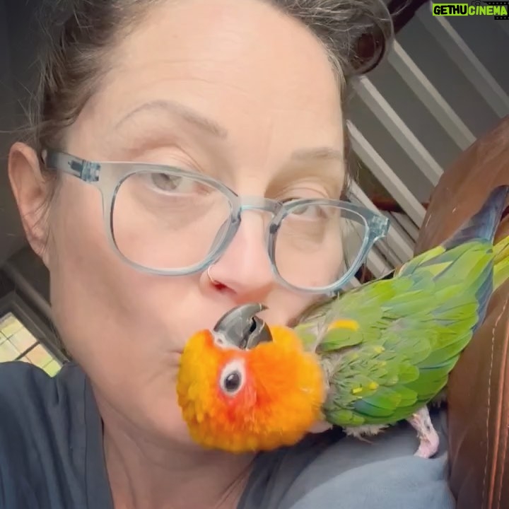 Teri Polo - 2.9K Likes - gimme kiss friday…😘
@mister_chicken_nugget
#misterchickennugget #nugget #conure #conures #conuresofinstagram #birb