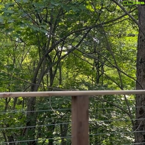 Teri Polo - 3.8K Likes - So, this happened…#offthegrid
So grateful for Devon and Jenna.
My happiest place…
My heaven on earth…
@dollysodscabin
Check it out, go…now.
📸: @dollysodscabin
Some 📸: me
Check out my review on AirBnB. It’s extraordinary. Truly. The cabin, not my review 🤣