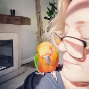 Teri Polo Instagram - Good morning, sun salutations…

#nugget #nuglife #dailynugget #mister #conure #conuresofinstagram #grateful #morning 

(Nuggie has spring fever and has been picking his feathers due to the surge in hormones. It can make these guys very neurotic sometimes. He has an implant that is helping to regulate and balance his hormones. So please don’t worry about his blotchy back and chest. He guud!)
✌🏼❤️