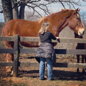 Teri Polo Instagram - This past weekend, Bayley and I got to visit heaven in Charlottesville, VA…

❤️ @ohkaytacos 🐴🐎🏇

We got to meet Big John, who is probably one of the largest horses in the world, literally. Teeny tiny Bison, who is definitely one of the smallest. And of course, dear sweet Colby, who started it all. Among many other amazing horses, minis, and mules, our time at the rescue was absolutely eye opening, educational and heartbreaking. What these young women are achieving goes above and beyond what you might think possible. I was in awe of their strength, fortitude, and absolute love and devotion to these extraordinary animals. 
You see, many, if not most, of these animals were rescued from k!ll pens. 
I will not go into detail regarding some of the horrific circumstances that led to these rescues, or where they were rescued from, how and why, but I can tell you this…these women are brave and relentless, powerful and have emotions of steel when necessary. The emotional toll for someone who’s life pretty much revolves around these stunning beasts is indescribable. And they told us they can only stomach the most difficult tasks about once a month because the emotional devastation is too much. 
These are only a few pictures Bayley and I were able to take because we were so caught up in the magic and joy of spending a couple of hours among these gorgeous “babies”!! And of course, in the company of these extraordinary women. 
Didn’t even THINK to get pics with them. 
But rest assured, we will be back and will share more personal stories and pics. Just wanted to get this link and info out there as soon as possible. 
Please visit their link to learn more about their rescue, what it entails, who they are and to be introduced to some of the beloved ambassadors. And maybe find a love of your own to save and give just the life they deserve to live, for the rest of their days. Many diamonds in the rough, as well as big beautiful hearts that just deserve to live out the rest of their lives at peace, retired, and showered with love. 
My biggest thanks to @ohkaytacos 
Ally, Olivia, Bella and
Shannon (@smcgowan_horses )Your hearts are endless…❤️❤️❤️❤️

Link is in my bio…