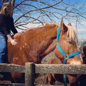Teri Polo Instagram - This past weekend, Bayley and I got to visit heaven in Charlottesville, VA…

❤️ @ohkaytacos 🐴🐎🏇

We got to meet Big John, who is probably one of the largest horses in the world, literally. Teeny tiny Bison, who is definitely one of the smallest. And of course, dear sweet Colby, who started it all. Among many other amazing horses, minis, and mules, our time at the rescue was absolutely eye opening, educational and heartbreaking. What these young women are achieving goes above and beyond what you might think possible. I was in awe of their strength, fortitude, and absolute love and devotion to these extraordinary animals. 
You see, many, if not most, of these animals were rescued from k!ll pens. 
I will not go into detail regarding some of the horrific circumstances that led to these rescues, or where they were rescued from, how and why, but I can tell you this…these women are brave and relentless, powerful and have emotions of steel when necessary. The emotional toll for someone who’s life pretty much revolves around these stunning beasts is indescribable. And they told us they can only stomach the most difficult tasks about once a month because the emotional devastation is too much. 
These are only a few pictures Bayley and I were able to take because we were so caught up in the magic and joy of spending a couple of hours among these gorgeous “babies”!! And of course, in the company of these extraordinary women. 
Didn’t even THINK to get pics with them. 
But rest assured, we will be back and will share more personal stories and pics. Just wanted to get this link and info out there as soon as possible. 
Please visit their link to learn more about their rescue, what it entails, who they are and to be introduced to some of the beloved ambassadors. And maybe find a love of your own to save and give just the life they deserve to live, for the rest of their days. Many diamonds in the rough, as well as big beautiful hearts that just deserve to live out the rest of their lives at peace, retired, and showered with love. 
My biggest thanks to @ohkaytacos 
Ally, Olivia, Bella and
Shannon (@smcgowan_horses )Your hearts are endless…❤️❤️❤️❤️

Link is in my bio…