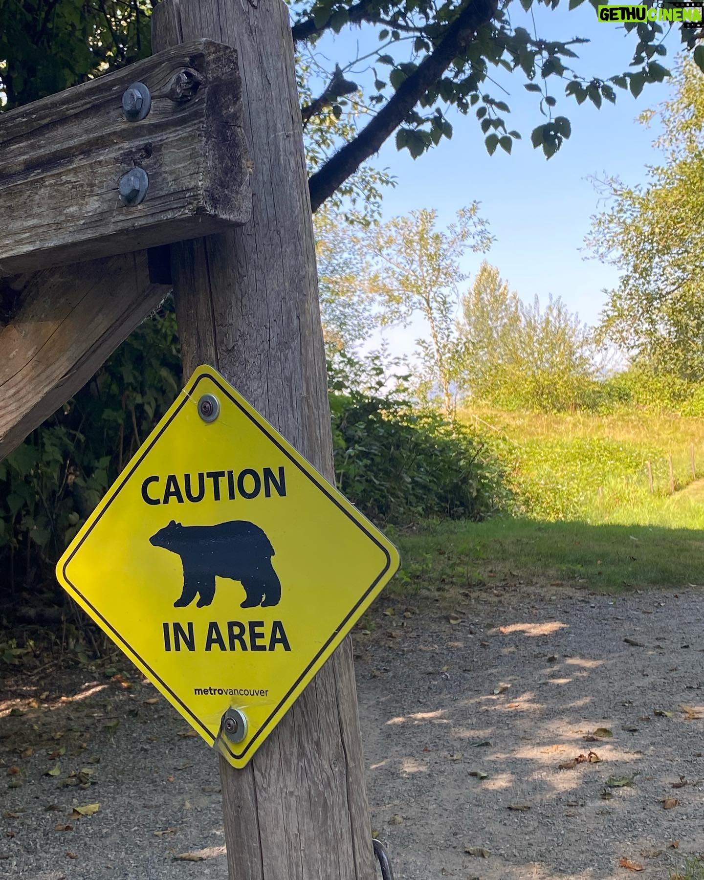 Teri Hatcher Instagram - Miles of walking in beautiful Canada. What am I doing here?…stay tuned 🎬 Wishing you a beautiful week. #nature #hiking #setlife