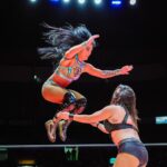Tessa Blanchard Instagram - Dejé mi corazón en Arena Mexico. 💎 @cmll_mx