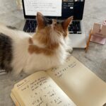 Tessa Ía Instagram – 人生は優しい