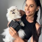 Tetiana Gaidar Instagram - Guys 1,2,3?🐱🤍 @bravoconcealment Ariel wants one too😂