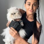 Tetiana Gaidar Instagram - Guys 1,2,3?🐱🤍 @bravoconcealment Ariel wants one too😂