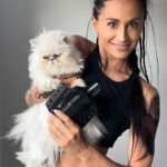Tetiana Gaidar Instagram - Guys 1,2,3?🐱🤍 @bravoconcealment Ariel wants one too😂
