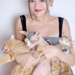 Thùy Anh Instagram - U need a cat? #cat#catlover