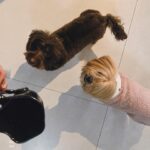 Thaís Müller Instagram – cafezinho dona Helena ?
– muito bem acompanhada