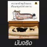 Thanaporn Wagprayoon Instagram – 👽👽👽👽
