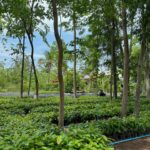Thanaporn Wagprayoon Instagram – ธรรมชาติดีเสมอ สถานที่บางช่วงที่ถ่าย The magic seeds ดีจังที่เค้าเก็บกระท่อมน้อยไว้ ☺️