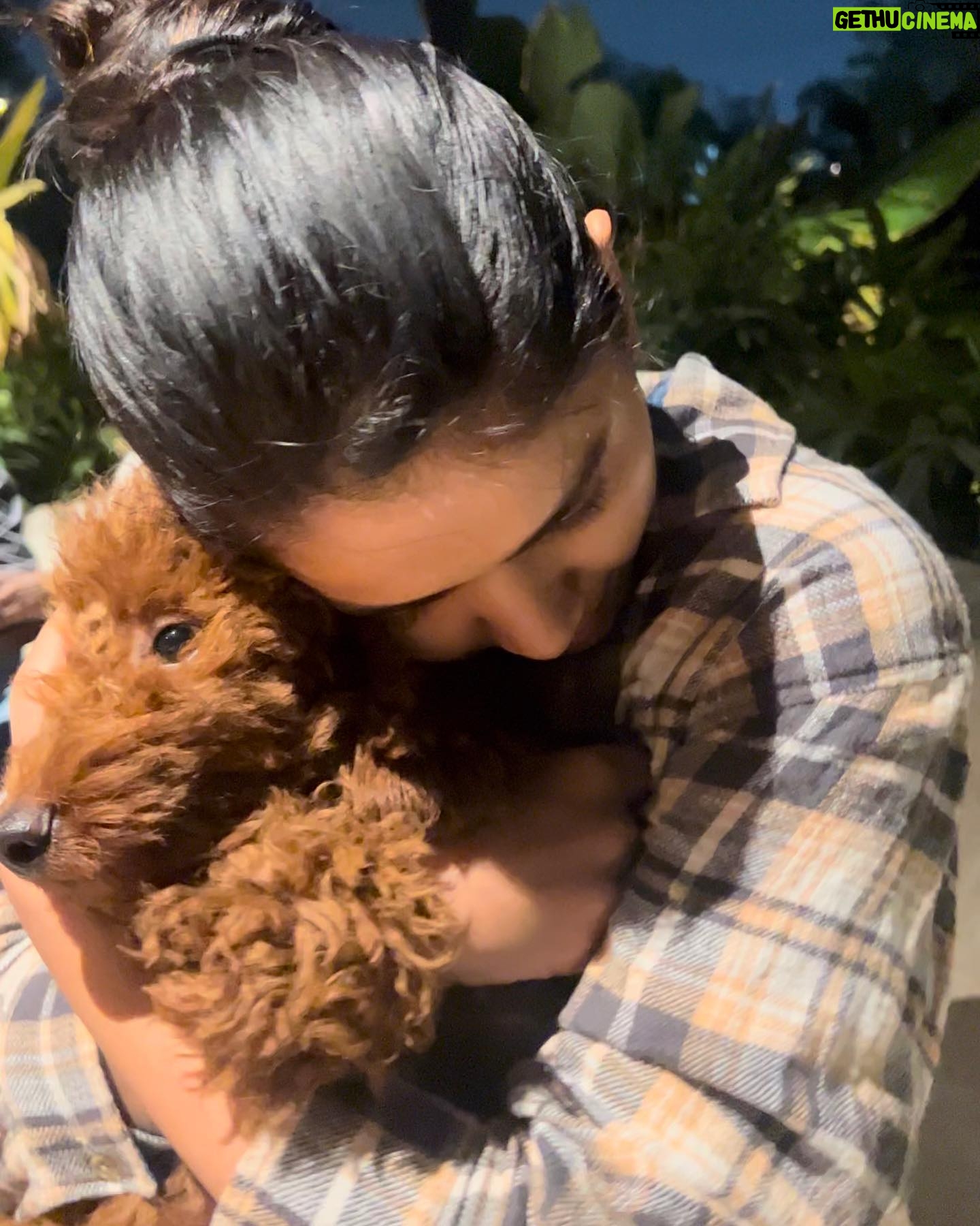 Thanuja Puttaswamy Instagram - This Hug ♥️ . . . . . . . . #love #doglover #instagood #instagram