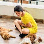 Thanuja Puttaswamy Instagram - Good mood is sponsored by my girls 😽😽 stay 🐾 paw-sitive ❤️ . . . . . . . . . . #petlovers #petfriendly