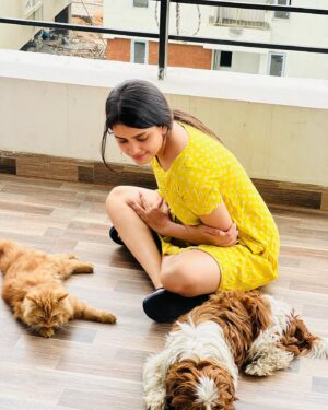 Thanuja Puttaswamy Instagram - Good mood is sponsored by my girls 😽😽 stay 🐾 paw-sitive ❤️ .
.
.
.
.
.
.
.
.
.
#petlovers 
#petfriendly