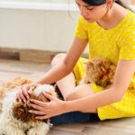 Thanuja Puttaswamy Instagram - Good mood is sponsored by my girls 😽😽 stay 🐾 paw-sitive ❤️ . . . . . . . . . . #petlovers #petfriendly