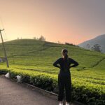 Thanuja Puttaswamy Instagram - Morning loves ♥️✨ . . . . . . . #moring #walk #instagood #instagram