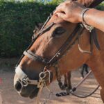 Thauny Raquel Instagram - Liberdade, autoconfiança e força 🤎🐎