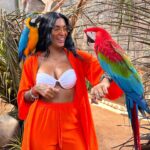 Thauny Raquel Instagram - Não importa quantas vezes eu vá na @psolemar é sempre mágico esse contato com os animais. 🧡 ja criei tanta intimidade que rafael(tucano) sempre me dá presentinho😂 EU AMO DEMAIS ESSE LUGAR! São tantos anos, tantas mudanças, tanta evolução… mas a essência permanece sempre a mesma. Eu sou fã! Obrigada por tudo que vocês me proporcionam 🧡 A última foto é muito especial pra mim 🖤